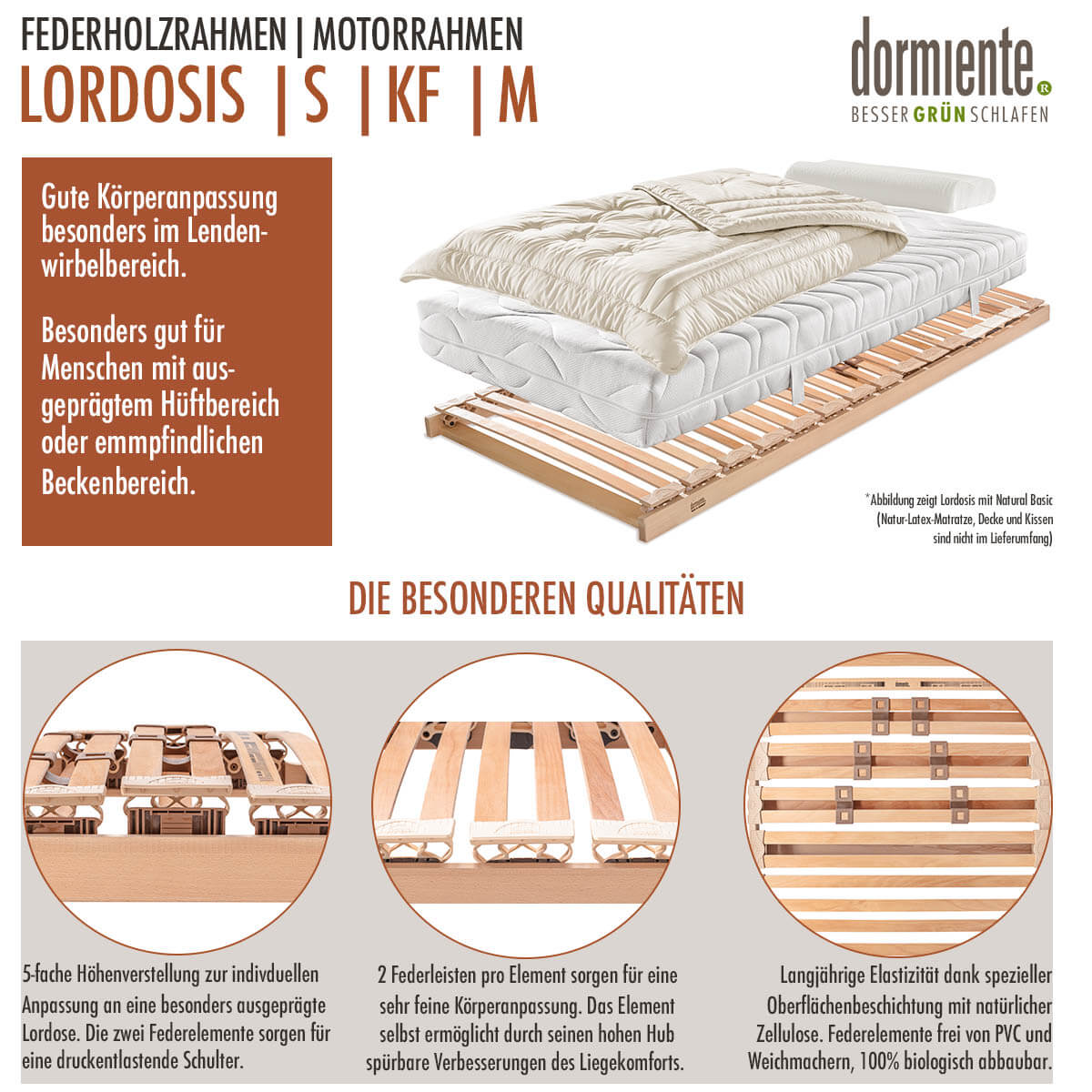 Dormiente-Lordosis-Federholzrahmen-Motorrahmen-kaufen